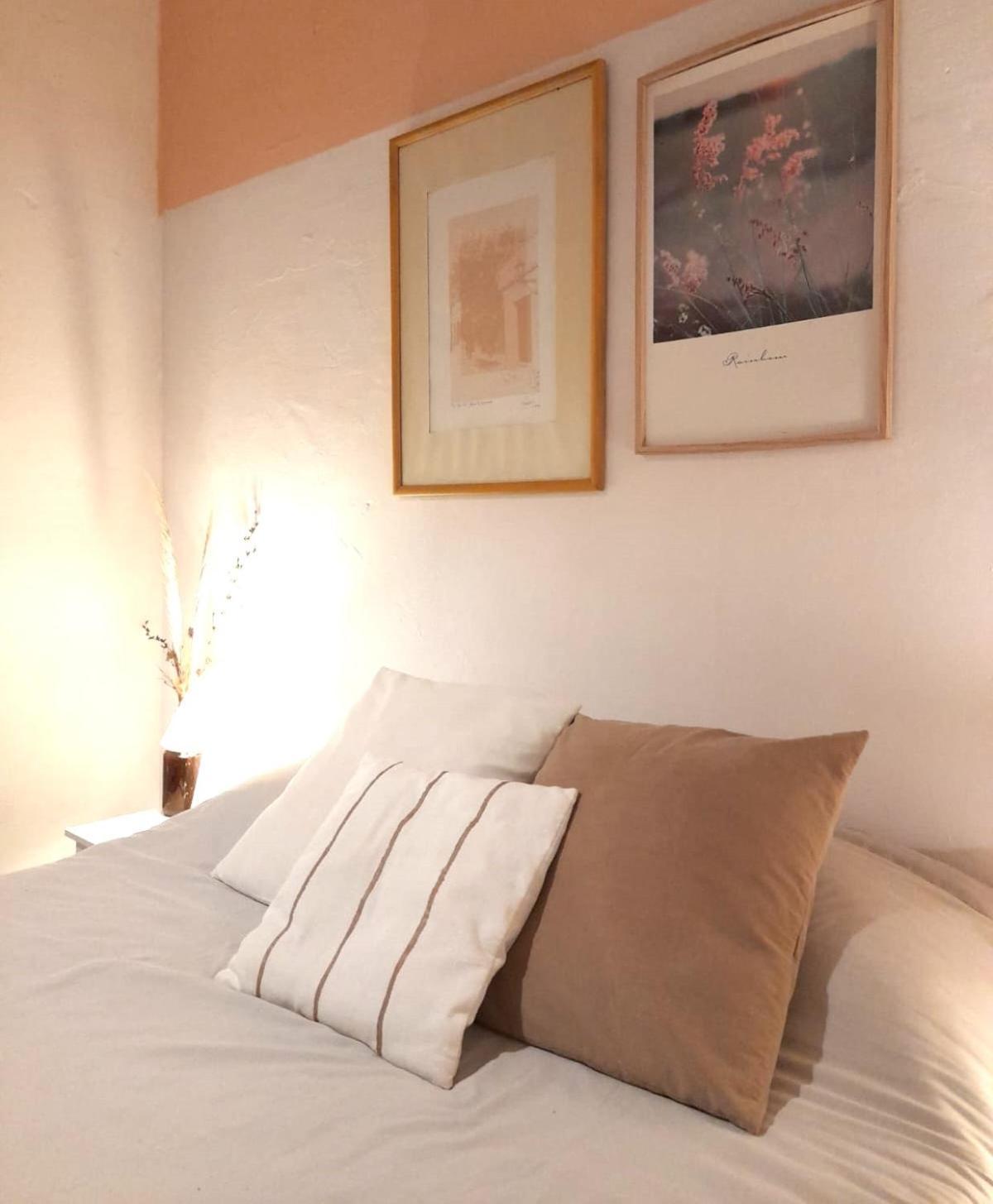 Casa Calma Hostel Colonia del Sacramento Ngoại thất bức ảnh